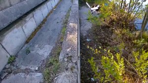 Карась на болонку и хлеб лучшая насадка