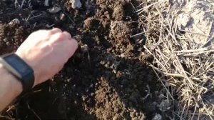 Коп с Minelab E-Trac и катушкой Nel Snake часть 1.