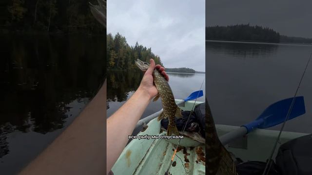 #Карелия #рыбалка . Щука смотреть онлайн
