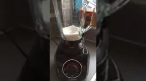Bosch SilentMixx blender review