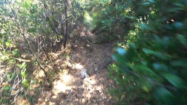 HOME VIDEO // Турция, Мармарис, Приключения на мопэде // День 10 смотреть онлайн