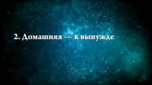 К чему снится, что царапает кошка - Онлайн Сонник Эксперт