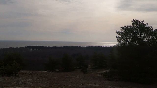 Танцующий лес.Куршская Коса.Омичи в Калининграде.(февраль 2023) смотреть онлайн