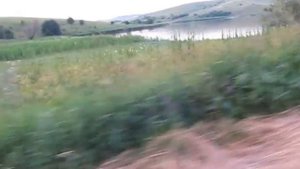 Платный пруд в селе Должеки, Воронежской области на Р-194.