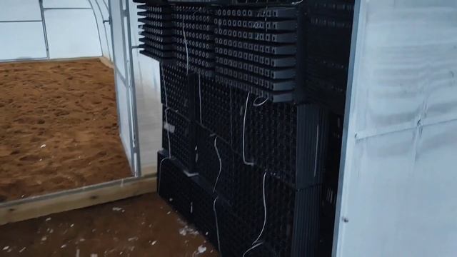 Питомник растений с нуля|Забрали 500 кг кассет для черенков|Обзор кассета 96 ель смотреть онлайн