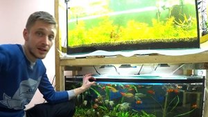 Как я сейчас делаю подмены воды в аквариуме