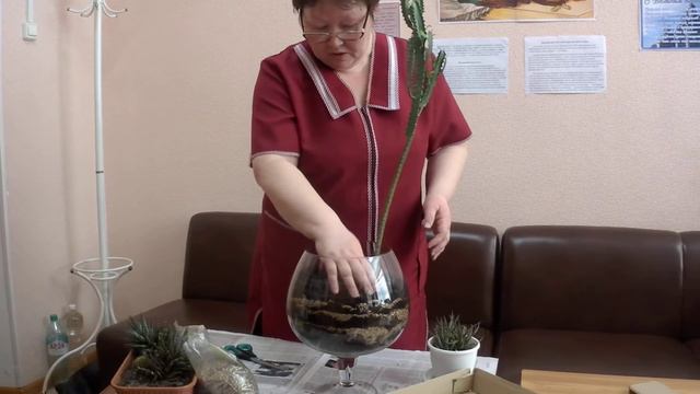 Оформление флорариума смотреть онлайн