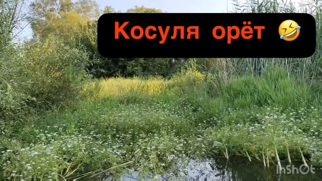 Едем из Оренбурга в секретное место на рыбалку #рыбалканакарася #оренбург