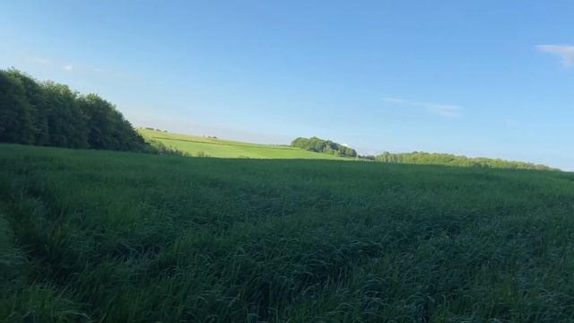 VLOG:Скидки в H&M.Готовлю салат «Цезарь» смотреть онлайн