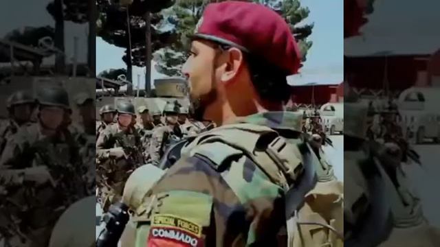 29 Kasım 2018 смотреть онлайн