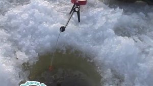 Рыбалка 69. Зимняя рыбалка: Ловля подлещика с прикормом