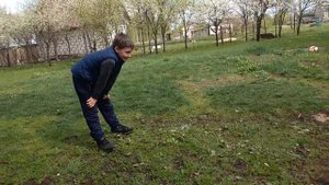 Забивы