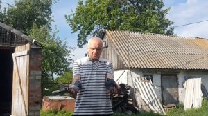 Летняя тренировка голубят и маточника для чего это нужно?