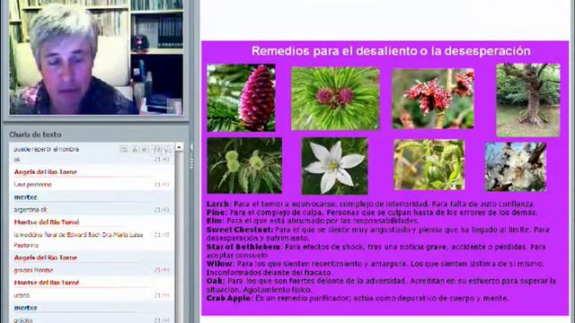 LAS ESENCIAS FLORALES DE BACH смотреть онлайн