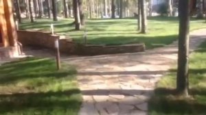 Благоустройство придомовой территории частного дома