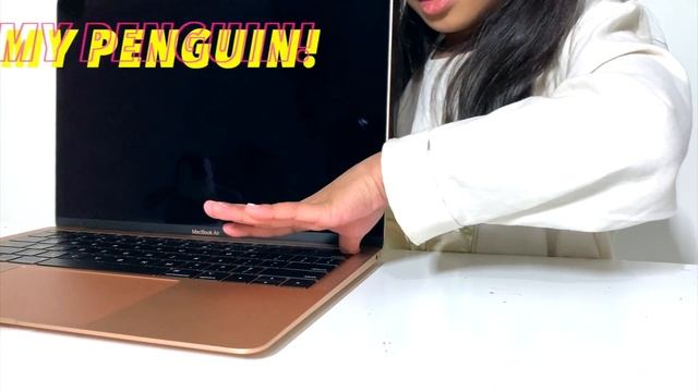 GOLD 2019 MacBook Air! | Kayleen смотреть онлайн