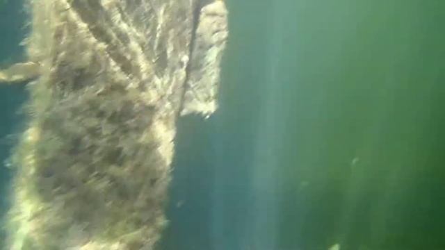 Olympus Stylus Tough TG 2: Underwater Test 3 смотреть онлайн