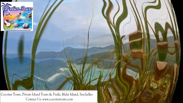 The beautiful island of Mahe, Seychelles смотреть онлайн