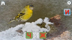 Учись читать спасай зверей（серия 1）