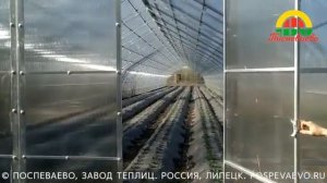 Отзыв о каплевидной теплице Поспеваево - Каплевидная 7,5М в городе Елец