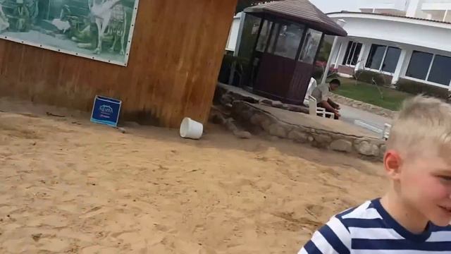 Даня в Египте День#3 катаемся на верблюде кормим его Daniil ride a camel in Egypt смотреть онлайн
