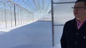 Строительство промышленной теплицы 1,2 Га