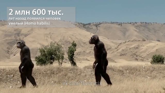 Происхождение человека. Антропогенез