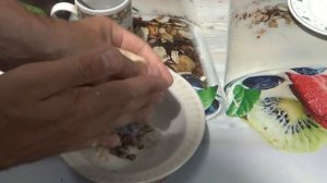 УЛОВИСТАЯ  НАСАДКА  на крупного карася  Приготовление