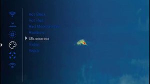 Тепловизор пульсар helion xq38f.  Лиса в кадре.