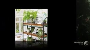 Домашняя оранжерея своими руками.