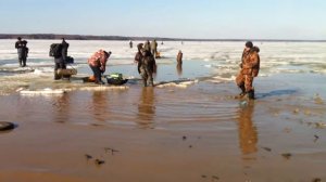 пудыши последний лёд шоу3