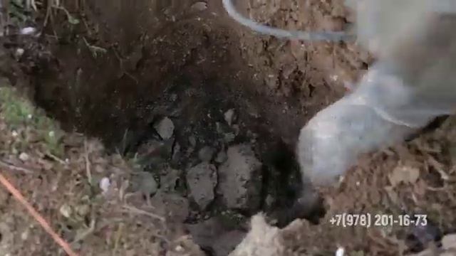 Еврозаборы+ в Севастополе, Крыму под ключ от производителя. Установка +79787001204, +79782011673