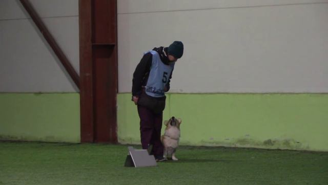 Федорова Татьяна и Енисей РО 2 Ралли Обиденс Кубок 2020 27.12.20 2 трасса смотреть онлайн