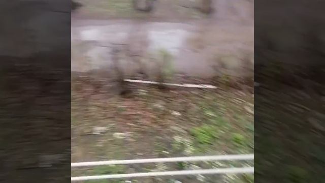 Сушилка балконная внешняя на роликах