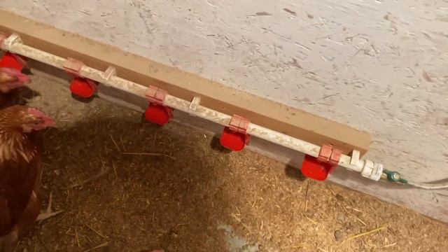 МИТЯ ЛЮБИТ спать в раковине, МАТРЁШКАМ не хватает ПАПИНОГО тепла смотреть онлайн