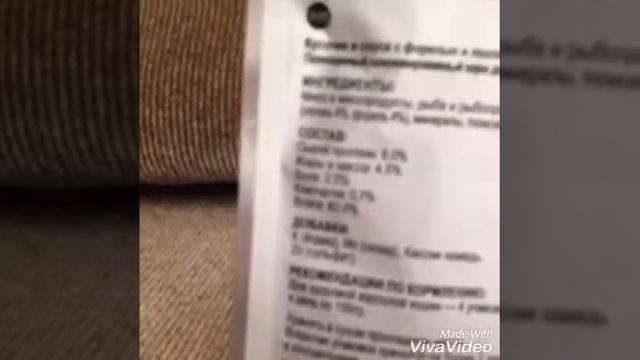 Покупки из зоомагазина для кошек смотреть онлайн