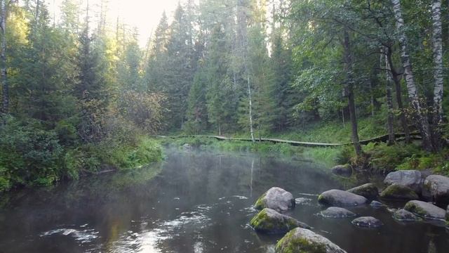 Линдуловская роща