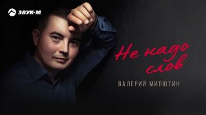 Валерий Милютин - Не надо слов | Премьера трека 2021