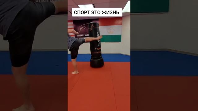 #спорт #жизнь #безалкоголя #безправил #тренировки #энергия #время #тхэквондо #тейквандо #кикбоксинг
