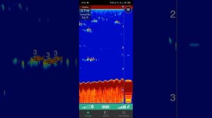 garmin striker cast gps тест на реке Кама