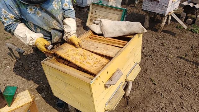 Один день в жизни ПЧЕЛОВОДА/Пчеловодство как оно есть/YouTube