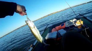 Рыбалка на Сенеже октябрь 2021