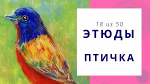 18. Как нарисовать птичку гуашью. Серия видео «50 этюдов»