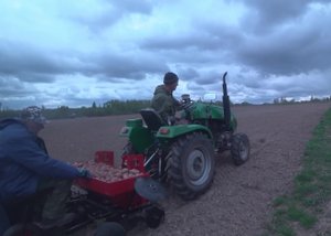 2022 Май. Картошка пошла в землю с помощью Картофелесажалки КС-2МТ