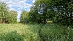 Мормышинг на пруду. Рыбалка 2023. Ловля Окуня. Силиконовые приманки.