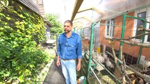 Индюки гиганты. Весь цикл жизни за 6 месяцев. Подробно.