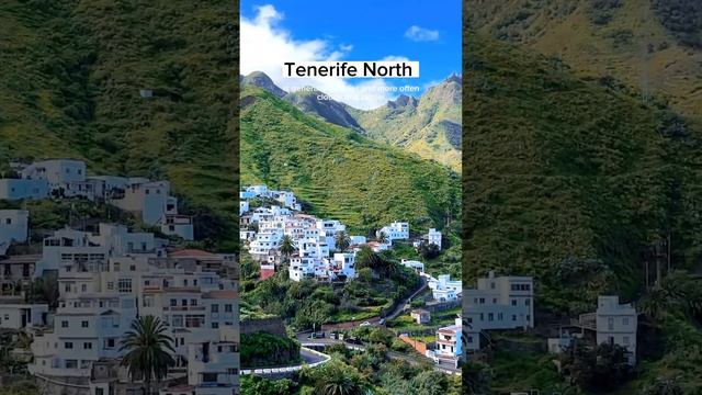 Tenerife North vs Tenerife South ?️Which is Best to Visit? #canary #tenerife #traveling #shorts