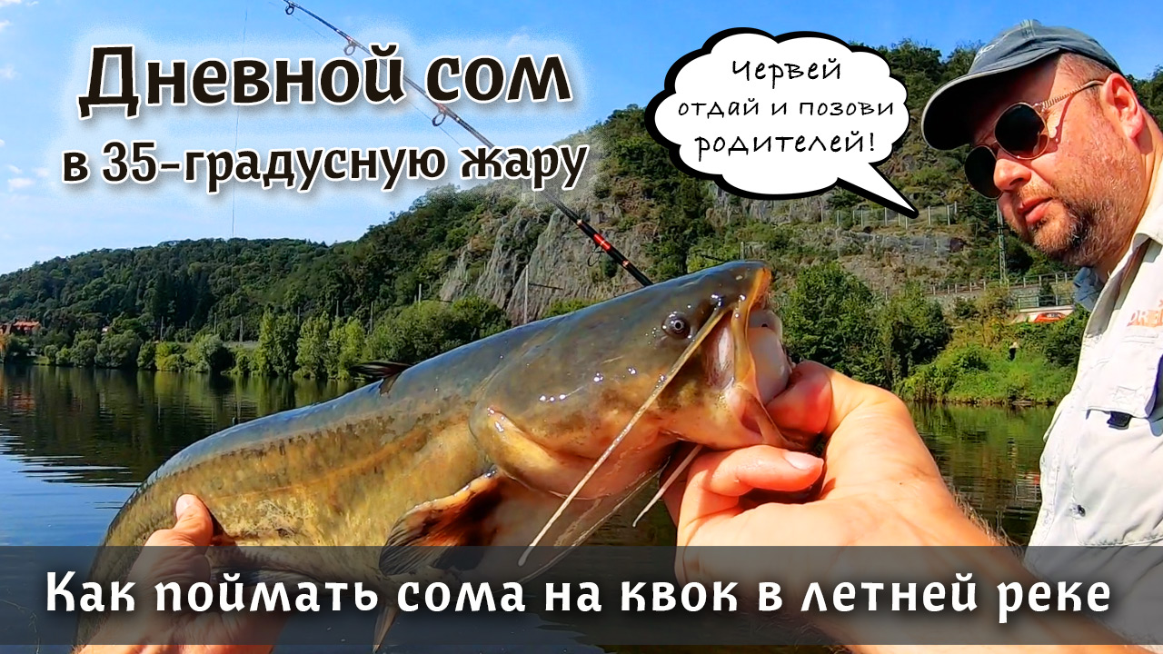 ЛОВЛЯ СОМА НА КВОК - интересная, но трудовая рыбалка. Как поймать сома на реке в летнюю жару