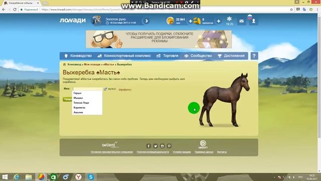 Лоwaди:Рождение жеребенка ^_^ смотреть онлайн