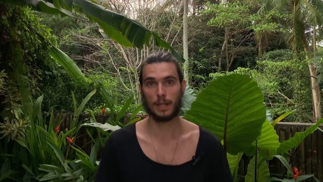 Сколько человек развернули на границе с Израилем? // Работа в Израиле смотреть онлайн